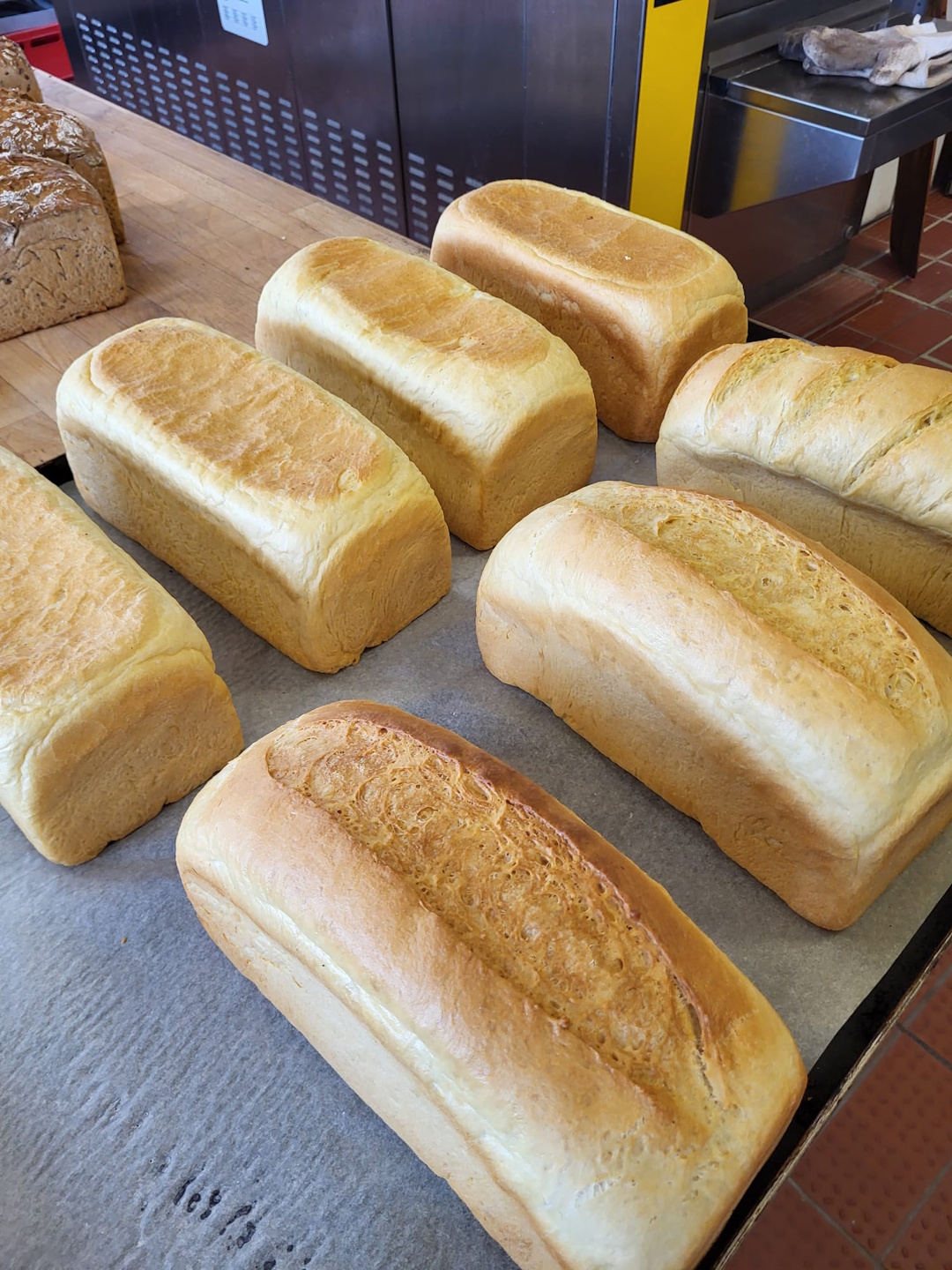 Brot